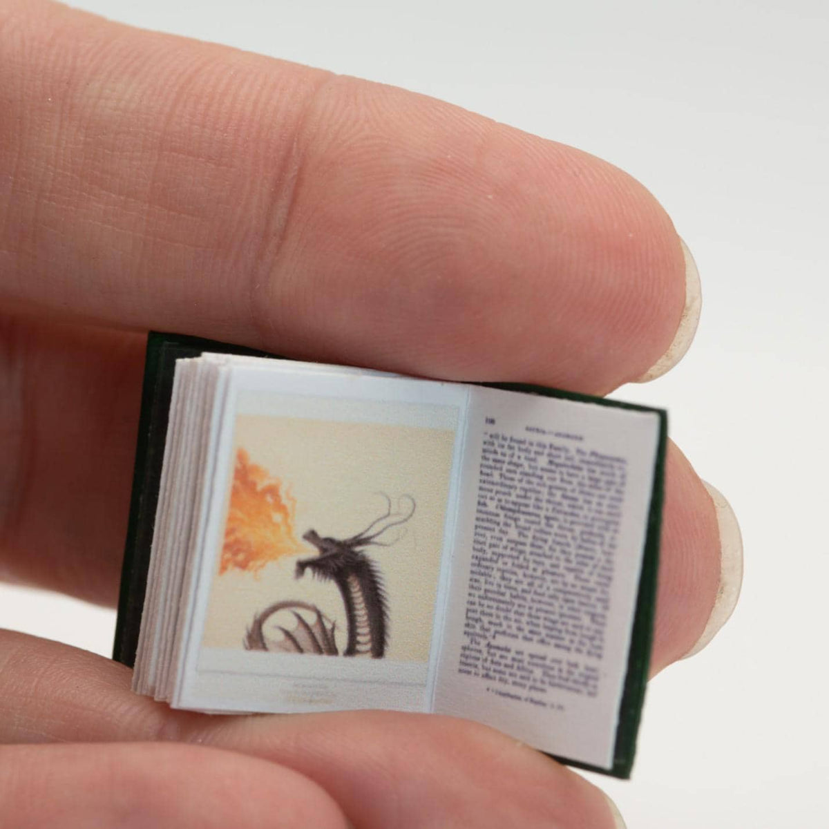 1:12 Scale Miniature Dragon Book | Dark Academia Dollhouse Decor | Fantasy Bookshelf Accessory