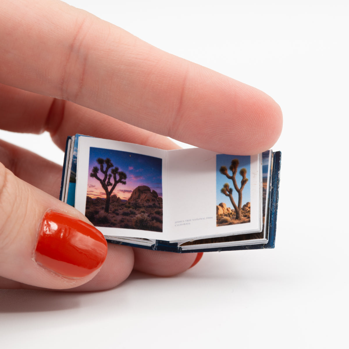 Miniature National Parks Photo Book | 1:12 Scale | Real Turning Pages