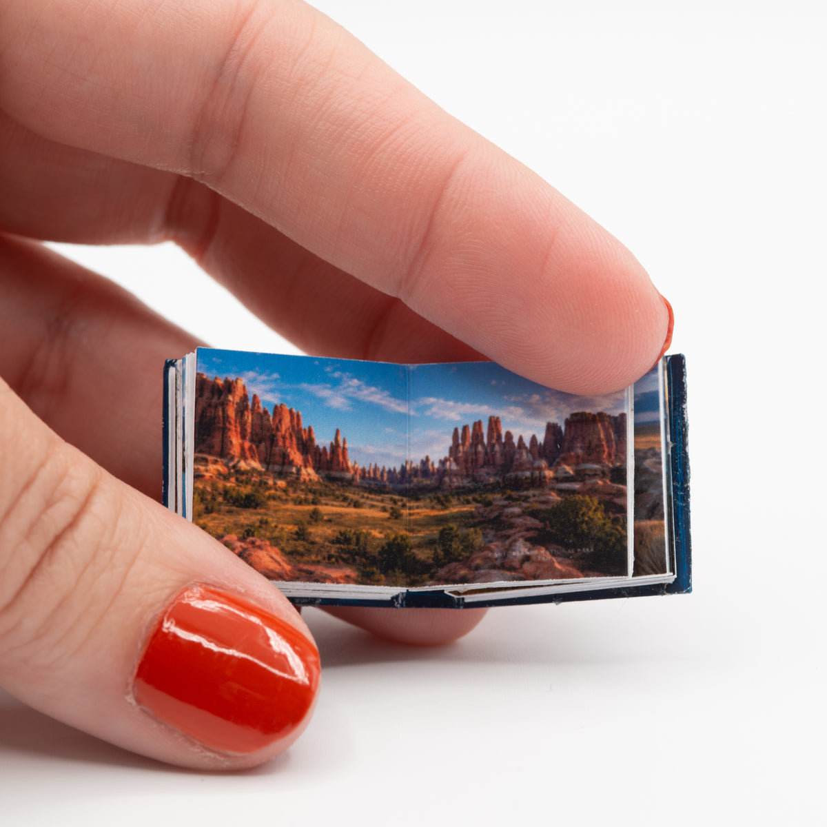 Miniature National Parks Photo Book | 1:12 Scale | Real Turning Pages