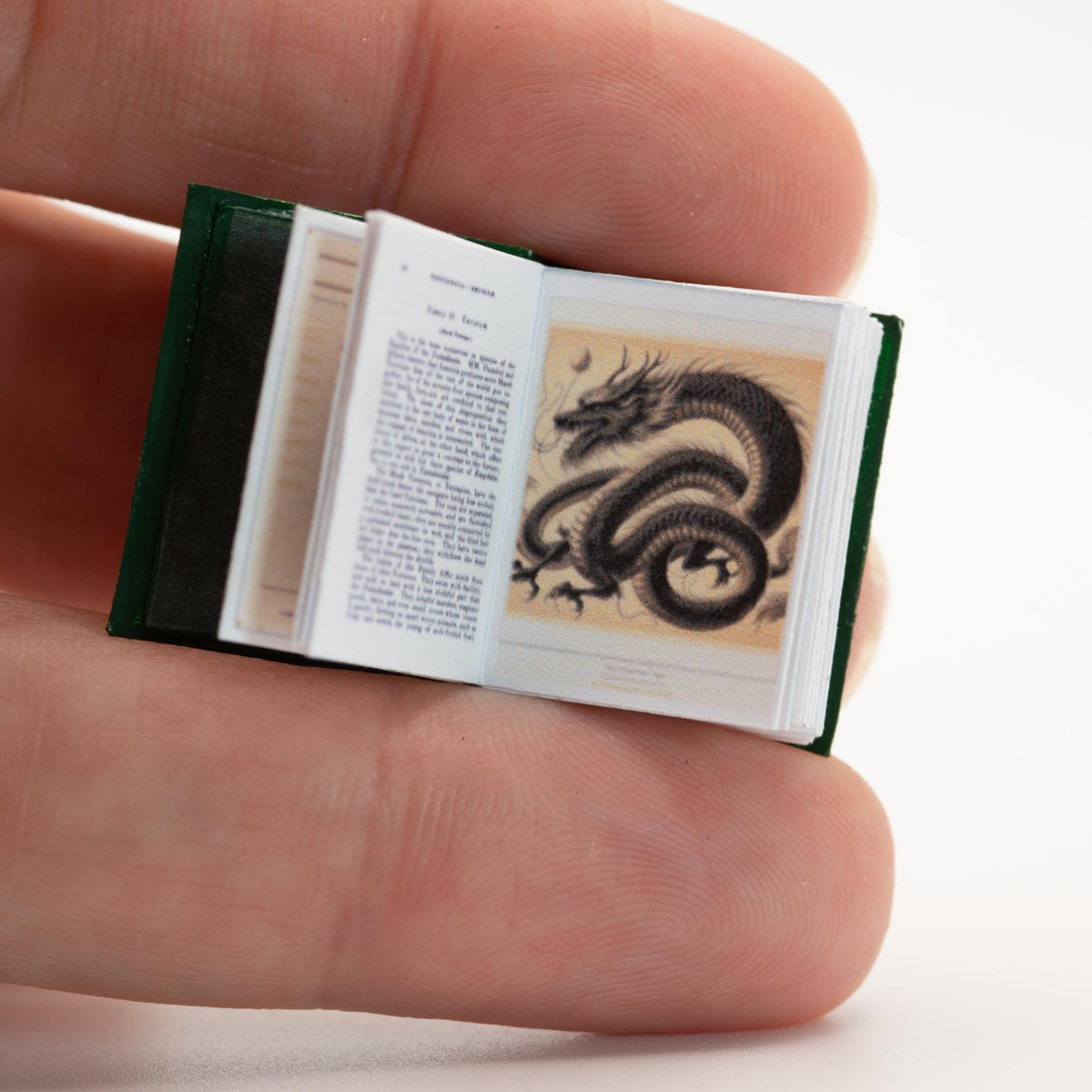 1:12 Scale Miniature Dragon Book | Dark Academia Dollhouse Decor | Fantasy Bookshelf Accessory